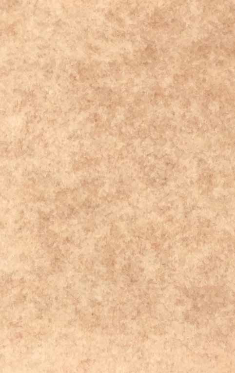 Huidige mate Eigenwijs Stretchvilt / Naaldvilt Beige - Carfabrics B.V.